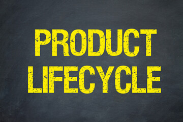 Product lifecycle