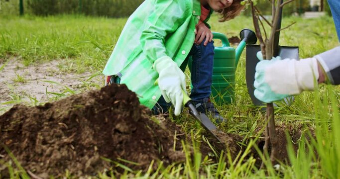 Close up of cute little Caucasian boy digging hole in ground and helping his son in planting tree in garden. Trees plant concept. Daddy with small son in orchard. Summerhouse work.