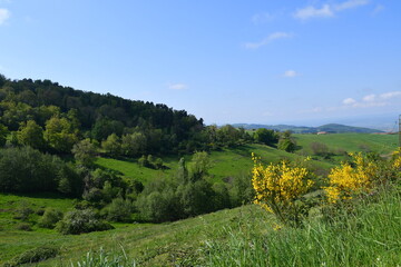 panoram verdoyant pris depuis les hauteur du chemin de randonnée de la ronde des suquets à Saint...