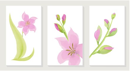 Flower watercolor art triptych wall art vector. Abstract art background with pink Floral Bouquets and leaf hand paint design for wall decor, poster and wallpaper. Wall art for decor.