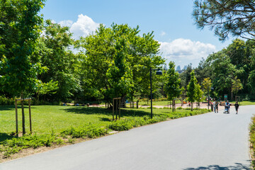 Ataturk kent ormani in Istanbul. Ataturk City Forest. Green spaces in Istanbul city. Green parks or recreational areas in city.