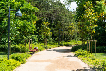 Ataturk kent ormani in Istanbul. Ataturk City Forest. Green spaces in Istanbul city. Green parks or...