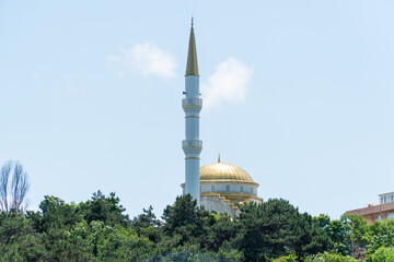Ataturk kent ormani in Istanbul. Ataturk City Forest. Green spaces in Istanbul city. Green parks or...
