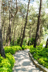 Ataturk kent ormani in Istanbul. Ataturk City Forest. Green spaces in Istanbul city. Green parks or...