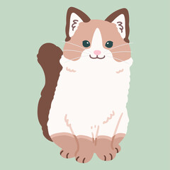 Simple and adorable illustration of ragdoll cat sitting in front view flat colored