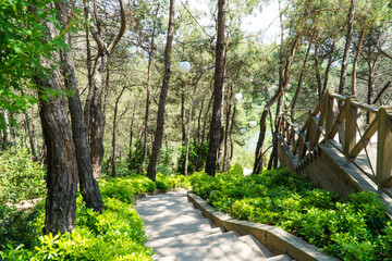 Ataturk kent ormani in Istanbul. Ataturk City Forest. Green spaces in Istanbul city. Green parks or recreational areas in city.