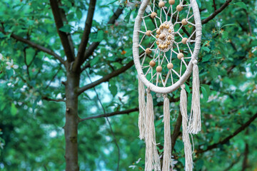 Dreamcatcher handmade spider net or web charm on willow hoop, string, beads. Native crafts items in boho style. Decorative ornament in the garden among rose bushes in spring or summer morning