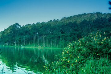 Romantic morning scenery of Huai Pang tong Reservoir and pine forests at Pang Oung,Pang Tong Royal Development Project,Ban Ruam Thai,Mae Hong Son,Northern Thailand - obrazy, fototapety, plakaty