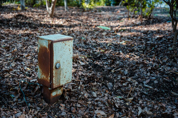 落ち葉の中の古いオブジェクト