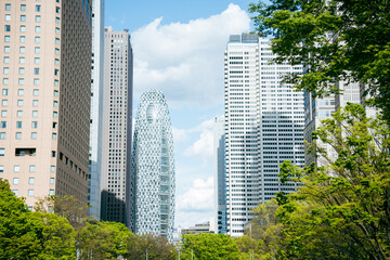 Fototapeta premium 東京の高層ビルと夏の空