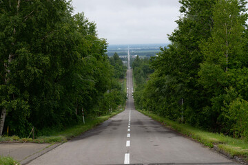 road in the forest