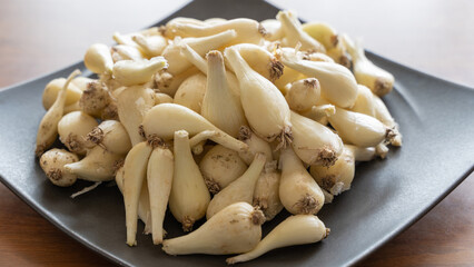 黒い皿に置かれた日本の野菜らっきょう