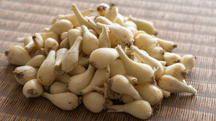 和風マットに置かれた日本の野菜らっきょう