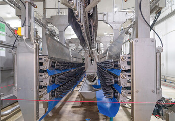 Inside of machine feather plucked on the chicken meat production line