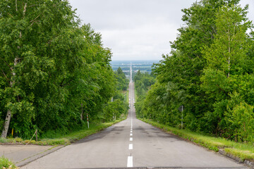 road in the park