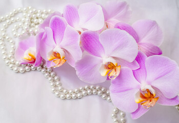 The branch of purple orchids on white fabric background
