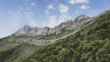 Obraz premium Rocky elongated mountain covered in green grass