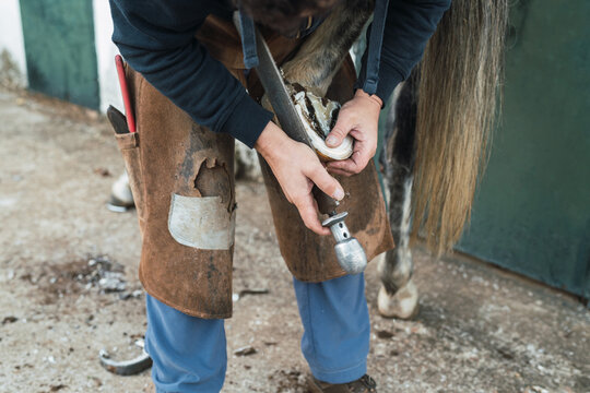 Unrecognizable farrier trimming hoof of horse