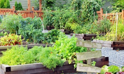 Garden Background Very Cool