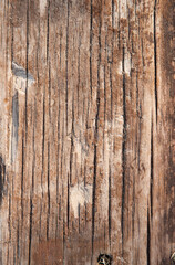 Old board. Wooden texture. Selective focus.