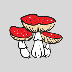 Fly agaric mushroom. Engraving isolated on white background.