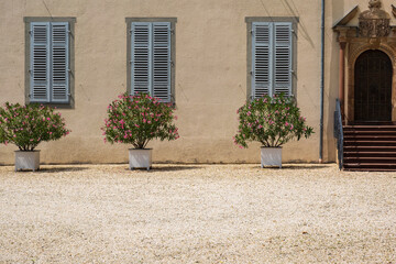 View of a courtyard on a house facade with three closed windows with flowers in front of them