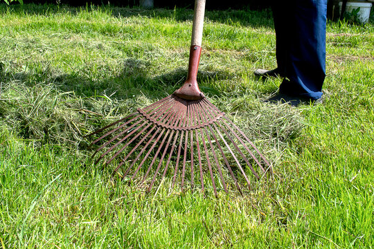 Close-up fan rake cleans freshly cut grass