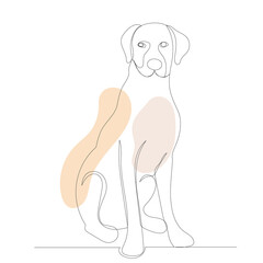 dog sitting drawing by one continuous line, sketch vector