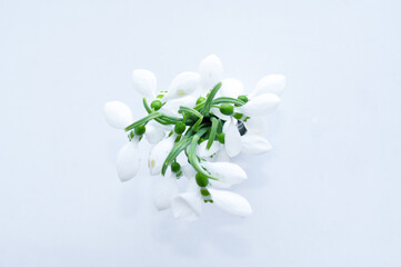 Bouquet of first snowdrops on white background . High quality photo