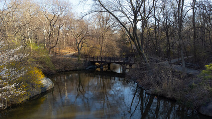 Fototapeta na wymiar Central Park bridge city 