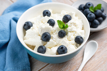 Curd cheese or cottage cheese with blueberries in bowl on wooden background, closeup view