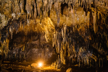 Tham Khao Bin cave in Ratchaburi, Thailand