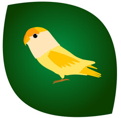 lovebird icon with green background