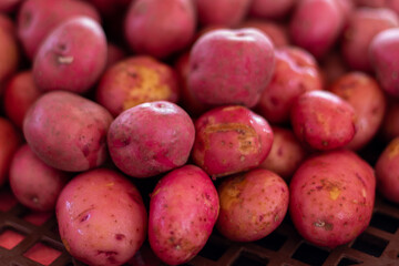A closeup of a large collection of fresh cleaned new red potatoes. The organic vegetable is raw...