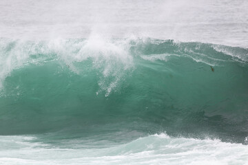 An angry teal green color massive rip curl of a wave as it barrels rolls along the ocean. The white mist and froth from the wave are foamy and fluffy. The ocean spray is coming off the top of the wave