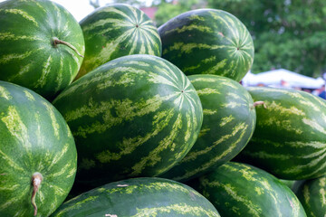 A stack of large organic oblong shaped green and yellow striped watermelons on a table at a...
