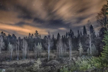 Photo sur Plexiglas Forêt dans le brouillard Usinf long shutter on scattered moonlight in forest.