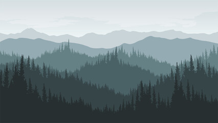 Landscape of pine forests and mountains in the morning or evening.