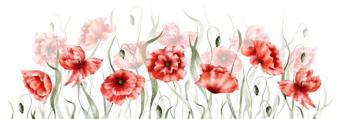 Watercolor floral arrangement - Poppies, Red poppy flowers, Wildflowers, Botanic summer illustration isolated on white background, Hand painted floral background, Botanical collection 