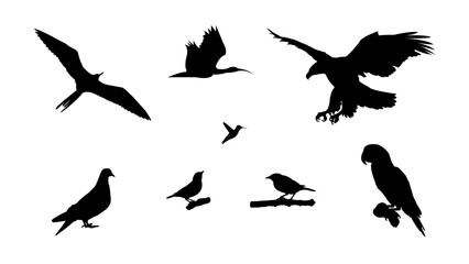 Set Of Bird Silhouettes