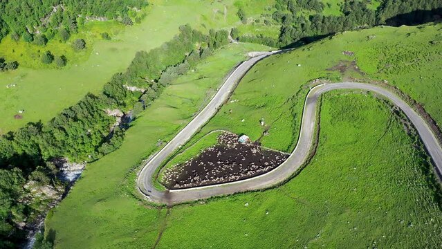 Aerial shot of sheep pen (sheepfold) clinging to road loop on sunny summer day. Balkarsky Cherek gorge, Kabardino-Balkaria, Caucasus, Russia.