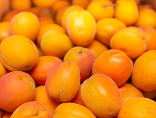 oranges at the market
