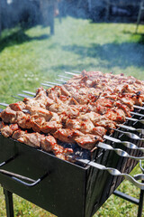 Marinated shashlik cooking on a charcoal grill. Shashlik or Shish Kebab popular in Eastern Europe....