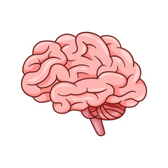 Human Brain vector isolated on white background