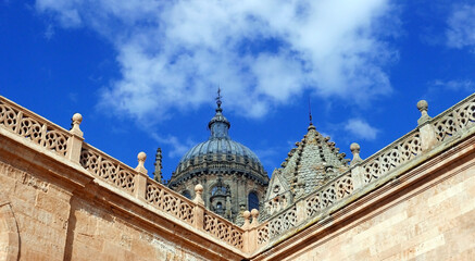 lA CUPOLA DELLA MERAVIGLIOSA CATTEDRALE DI SALAMANCA IN SPAGNA