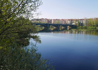 Fototapeta na wymiar idilliaco panorama del fiume a Salamanca in Spagna