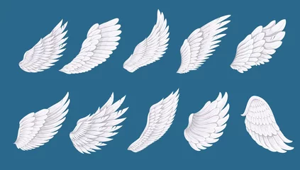 Fotobehang Bird or angel wing set vector illustration. Cartoon isolated white long feathers of wings with different shapes for flying in free heaven or sky, spiritual concept of freedom, dream, peace and fantasy © setory