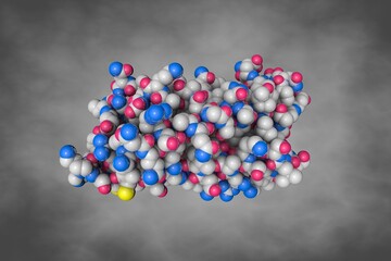 Human leukemia inhibitory factor. Space-filling molecular model on grey background. Rendering based on protein data bank entry 1emr. Scientific background. 3d illustration