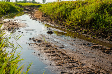 road in the countryside