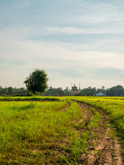 landscape with river countryside
